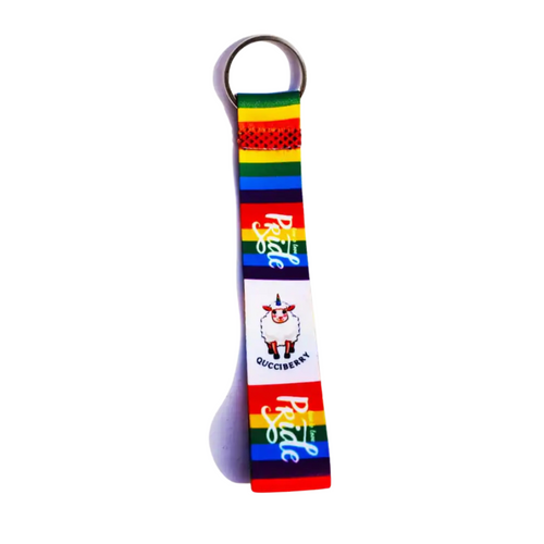 Rainbow Lanyard Keychain â€“ Vibrant, Lightweight, Secure Key Holder, Stylish and Adjustable