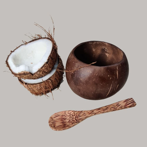 Small Coconut Shell Bowl with spoon - Pack 2