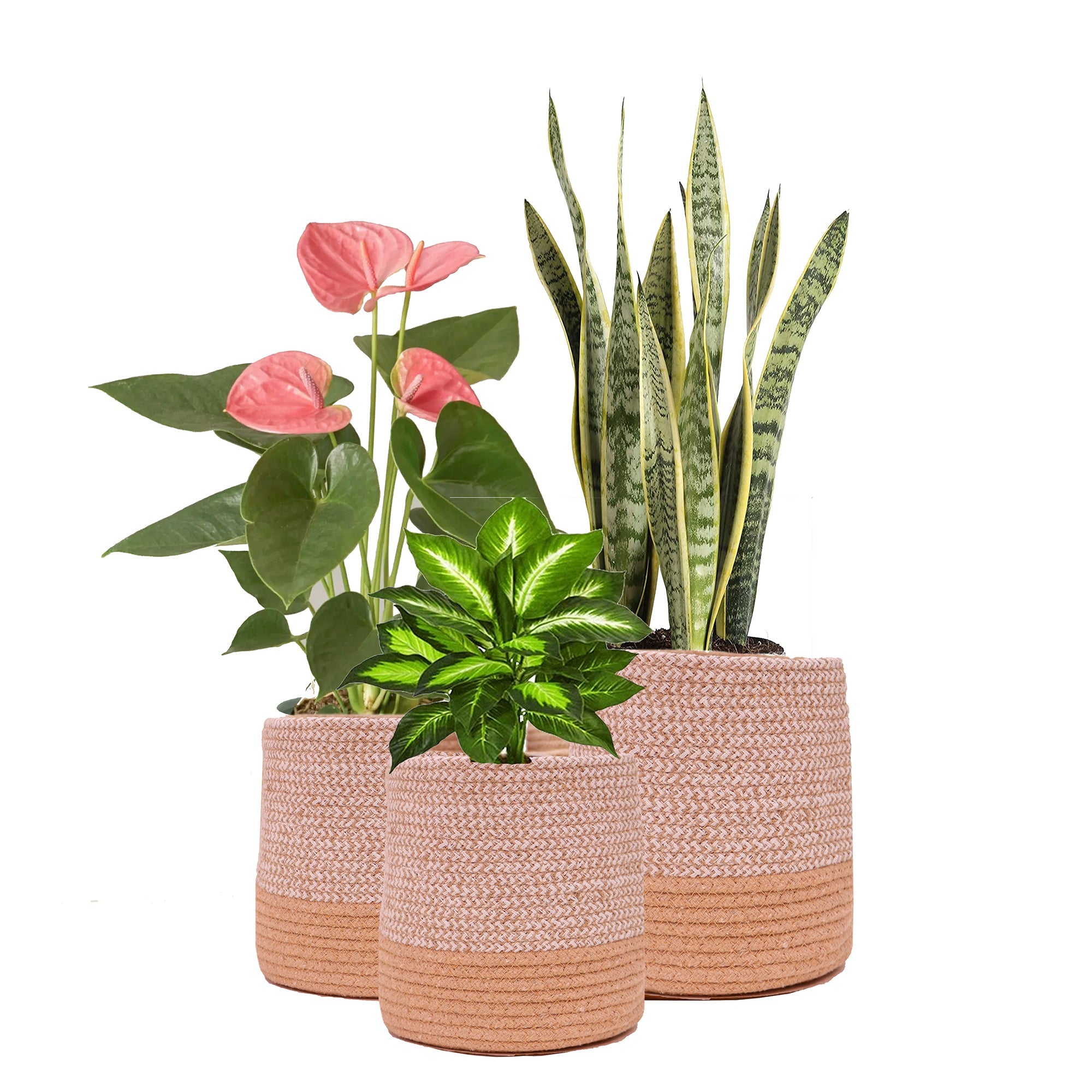 Dual Tone Jute Baskets - Small (One Piece)