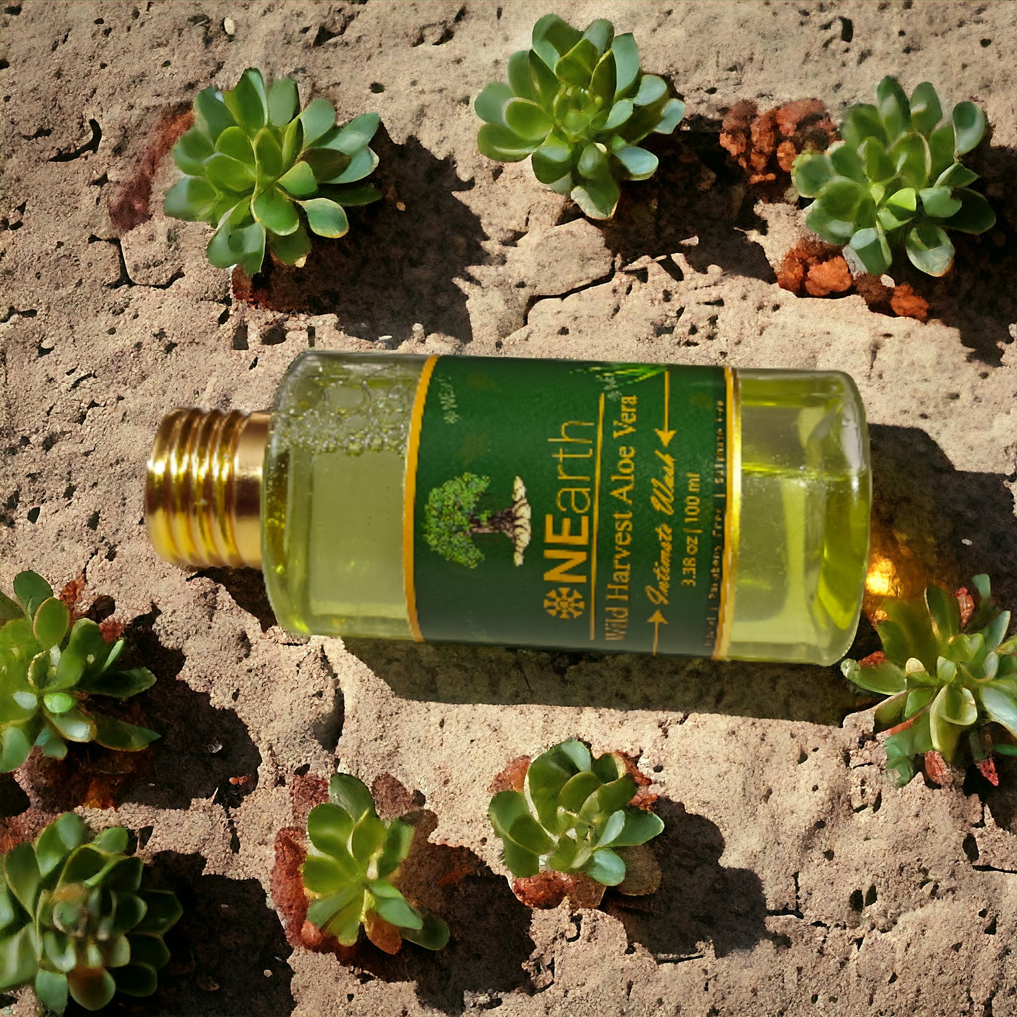 Aloe Vera Intimate Wash