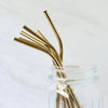 Brass  Straws With Cleaner - Pack of 2 (Brass) ST+Bend