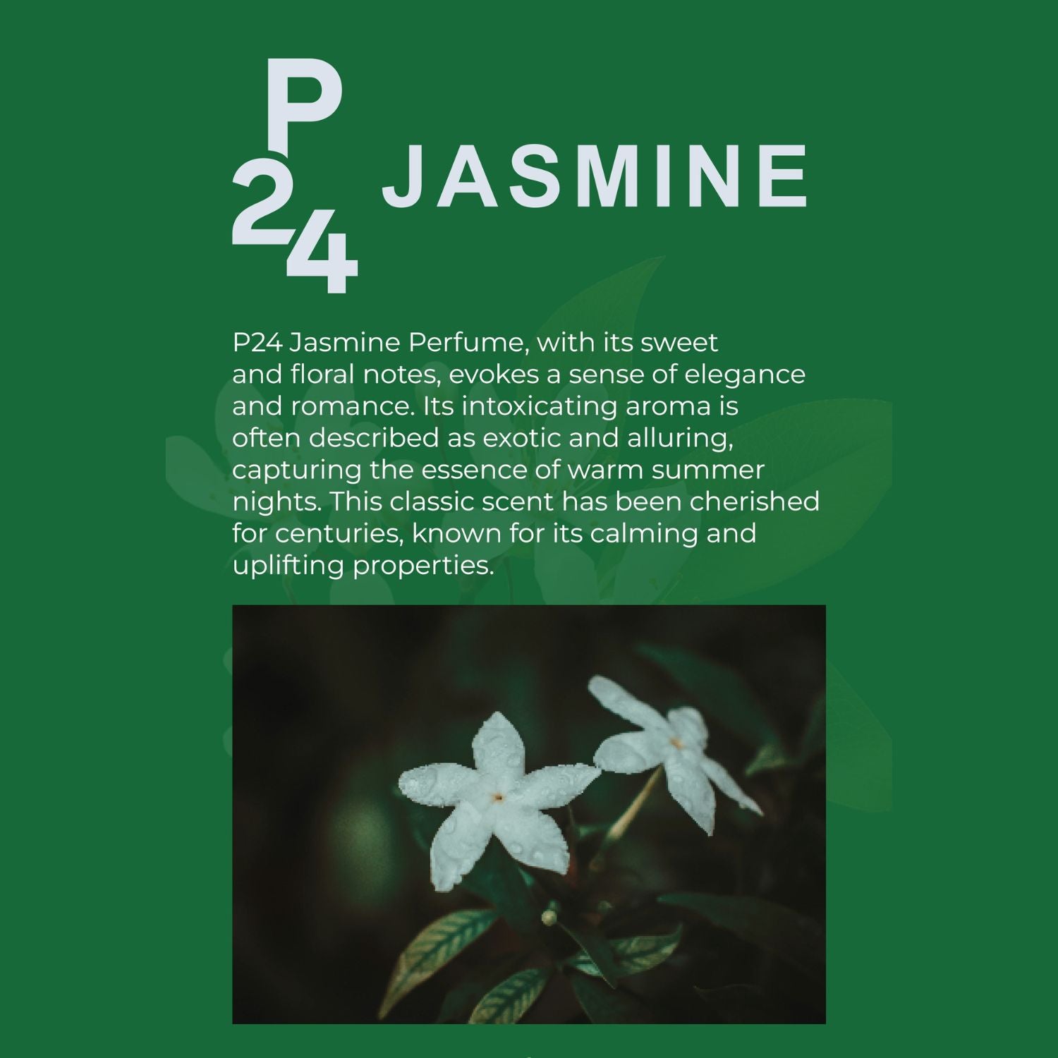 P24 Jasmine Perfume for Men and Women, Sweet and Floral Unisex Fragrance with Jasmine and White Florals, Elegant Eau de Parfum, Timeless Romantic Scent, Perfect Gift for Any Occasion (20ml)