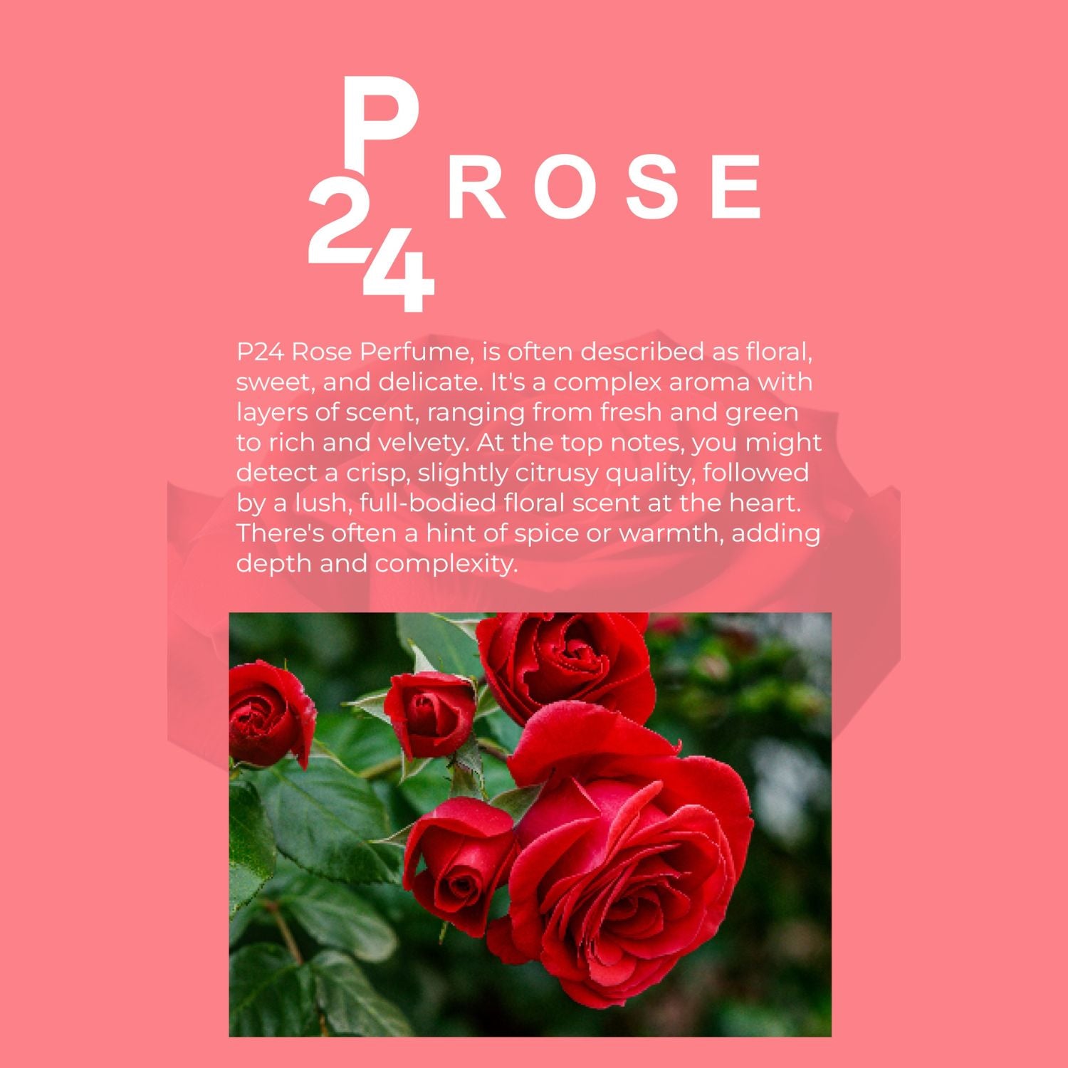 P24 Rose Perfume for Women, Elegant Floral Fragrance with Notes of Fresh Roses, Musk, and Subtle Earthy Undertones, Romantic Eau de Parfum, Timeless Signature Scent, Perfect Gift for Her (20ml)