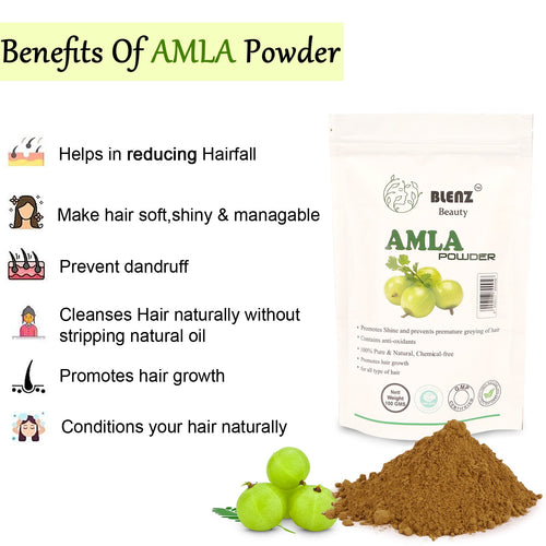 Amla Powder, Organic Hair and Skin Treatment, Natural Nourishment for Scalp and Skin, Suitable for All Hair Types (100g)