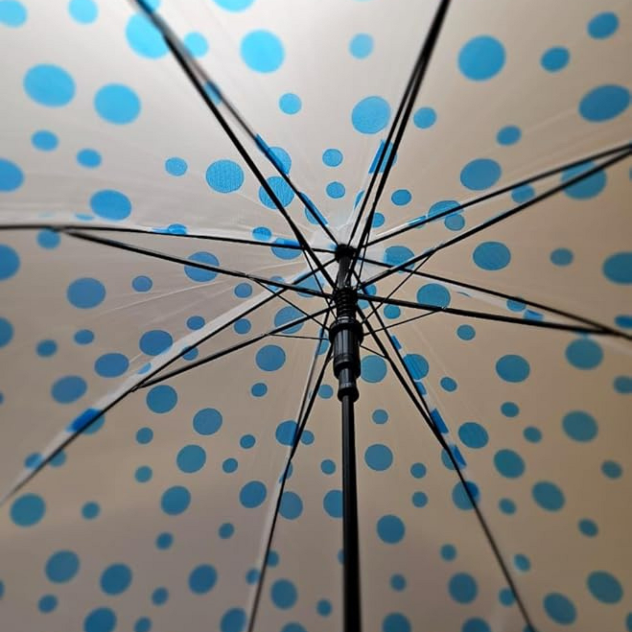 Transparent Polka Dot Umbrella with Durable Auto Open/Close | Women's Umbrella with 8 Wind-Resistant Ribs & Rounded Tips for Sun Protection & Rainy Season (Multicolor, 21-inch)