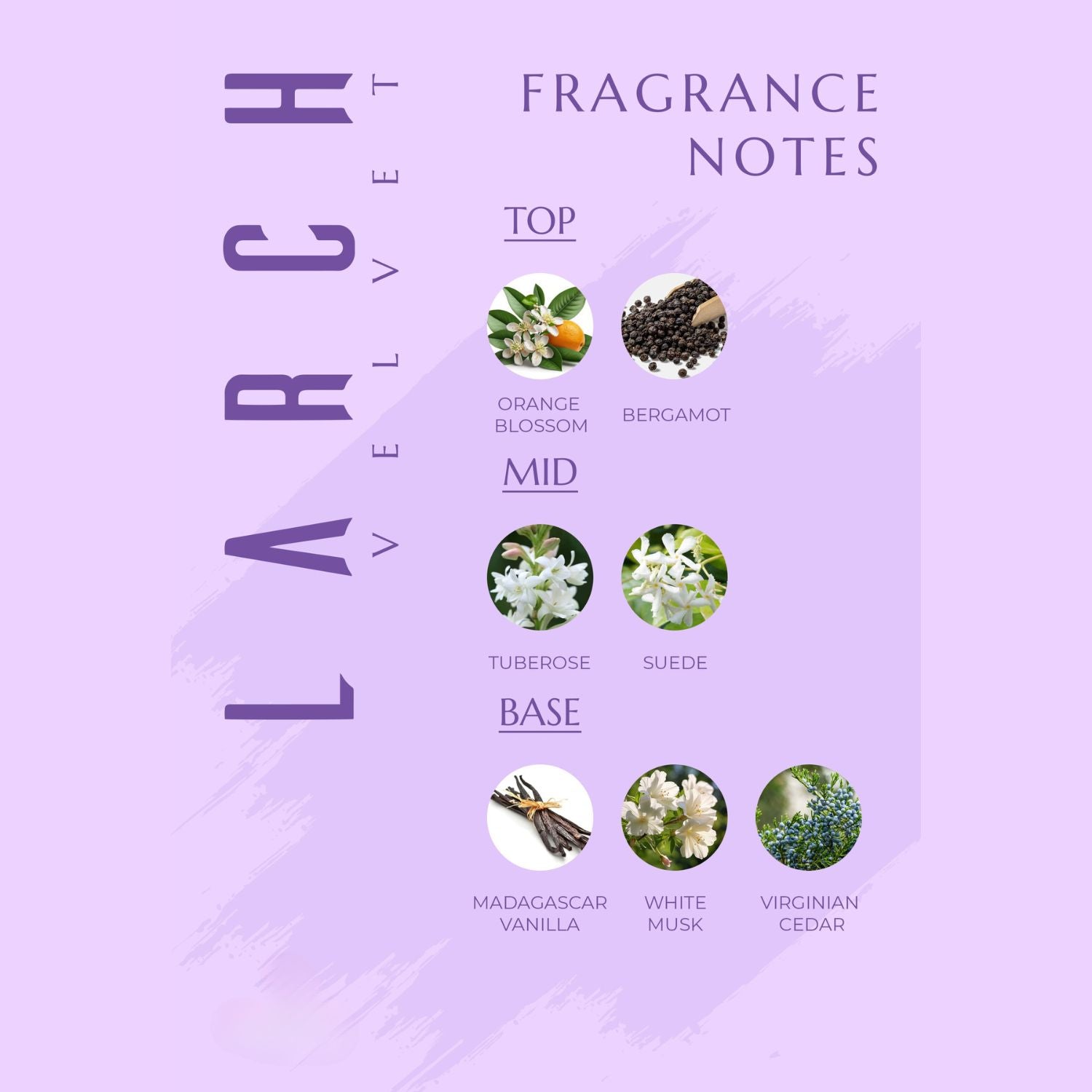 Larch Velvet Perfume for Women, Captivating Fragrance with Orange Blossom, Tuberose, Vanilla, and White Musk, Elegant Eau de Parfum, Celebrating Individuality and Sophistication, Perfect Gift for Her (20ml)