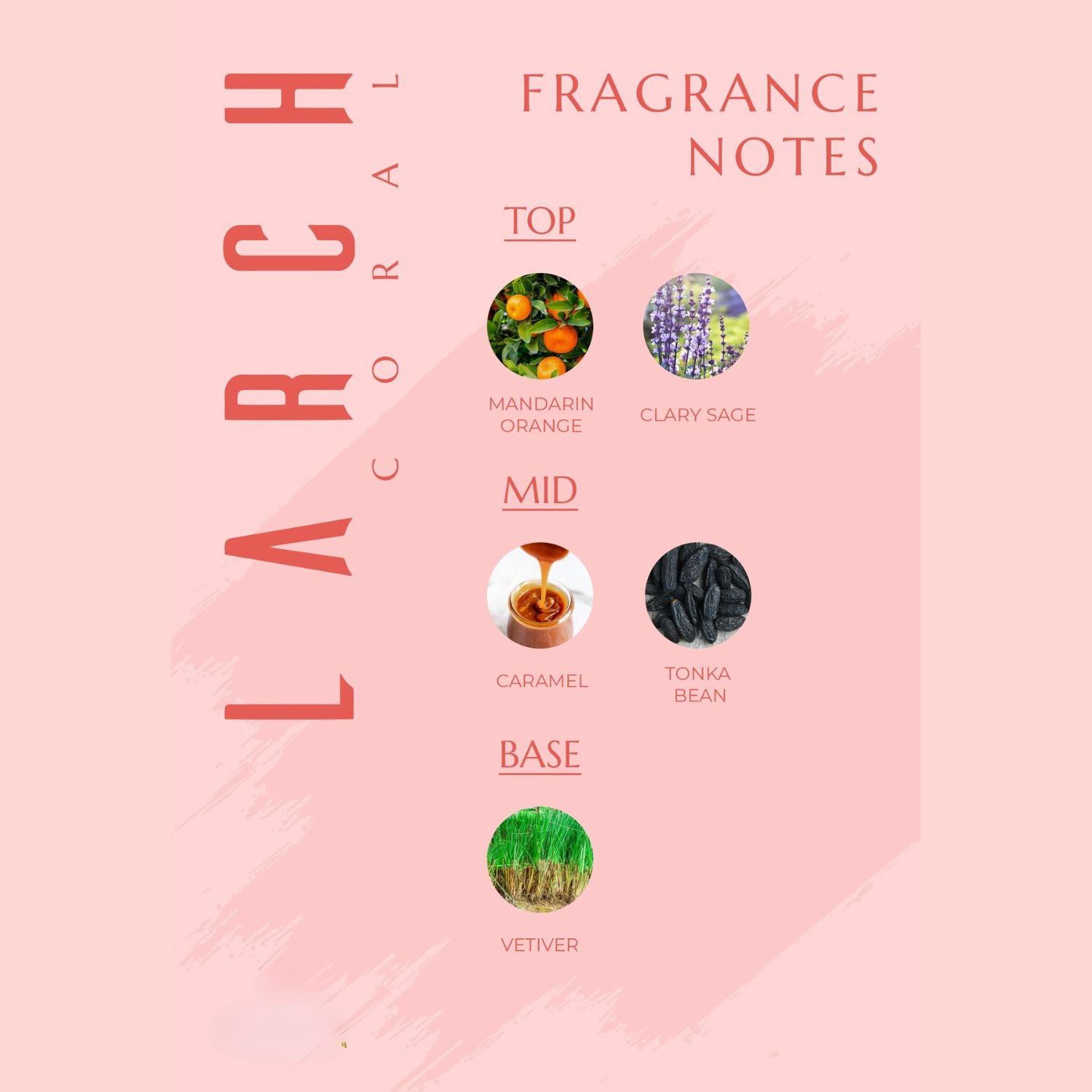 Larch Coral Perfume for Women, Bold and Seductive Fragrance with Mandarin Orange, Caramel, Tonka Bean, and Vetiver, Luxurious Eau de Parfum, Distinctive Signature Scent, Perfect Gift for Her (20ml)