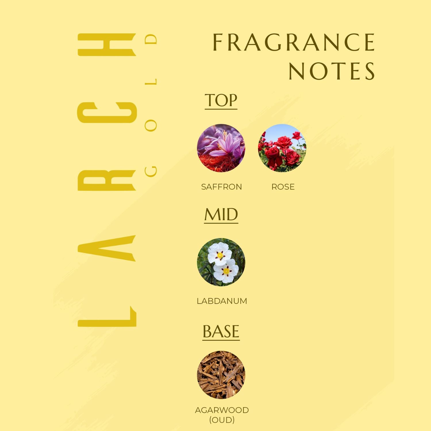 Larch Gold Perfume for Women, Luxurious and Sophisticated Fragrance with Saffron, Rose, Labdanum, and Oud, Elegant Eau de Parfum, Timeless Signature Scent, Perfect Gift for Her (20ml)