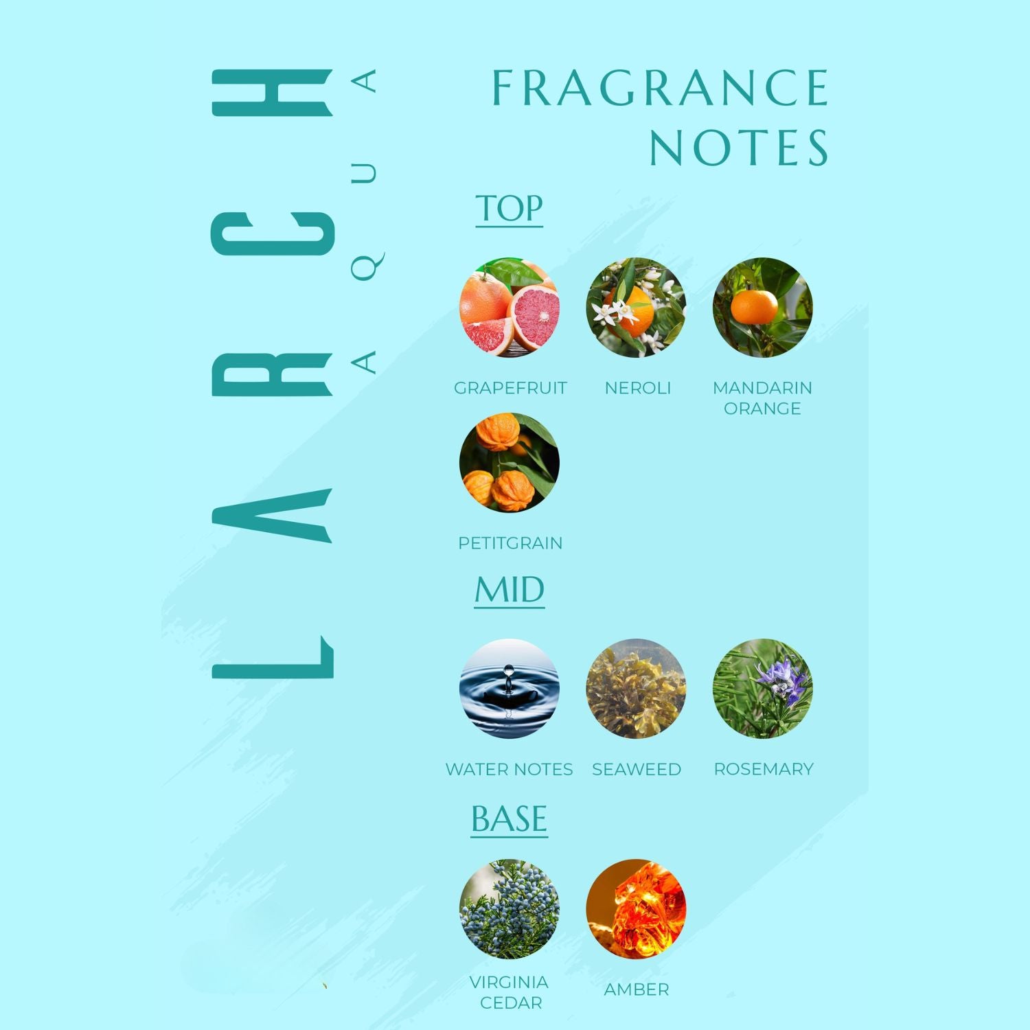 Larch Aqua Perfume for Men, Refreshing and Invigorating Fragrance with Grapefruit, Neroli, Seaweed, and Amber, Energizing Eau de Parfum, Perfect Balance of Freshness and Warmth, Ideal Gift for Him (20ml)