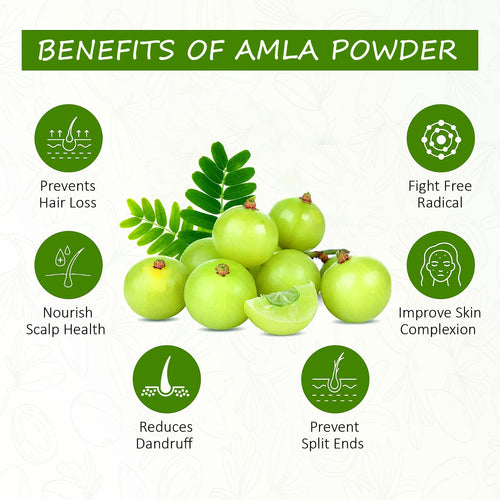 Amla Powder, Organic Hair and Skin Treatment, Natural Nourishment for Scalp and Skin, Suitable for All Hair Types (100g)