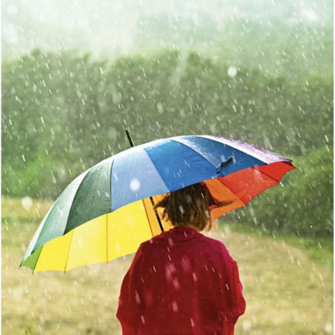 Rainbow Umbrella – Stylish, Durable, Steel Frame, Strong Ribs, Perfect for Stormy Days, Affordable, Keeps You Dry and Stylish