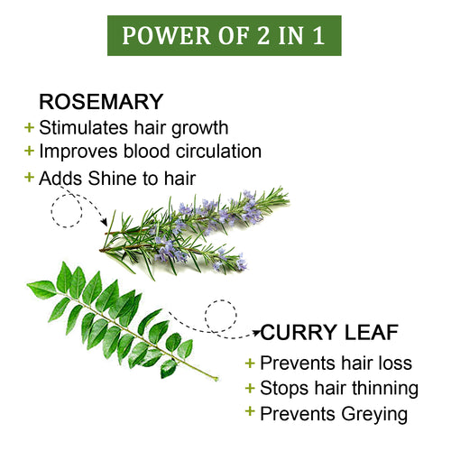 Organic Rosemary & Curry Leaf Powder, Natural Scalp Care Treatment for Healthy Hair, Suitable for All Hair Types (100g)